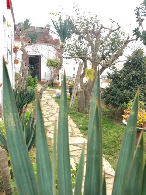 Hostal Casa Torrent Canet De Mar Esterno foto
